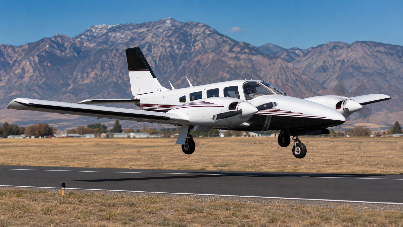 Piper Seneca